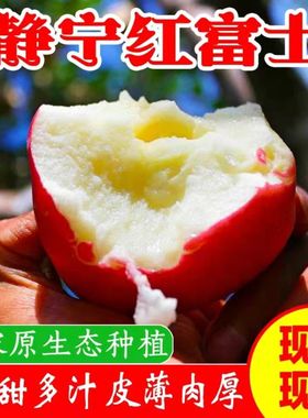 正宗甘肃静宁精品红富士苹果水果新鲜脆甜糖心整箱丑苹果应季特产