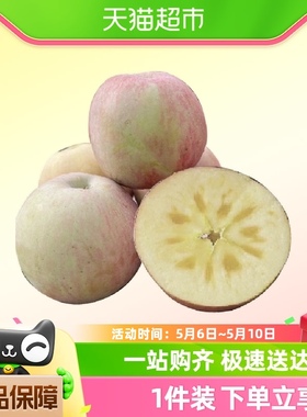 甘肃大漠苹果6粒装冰糖心优质果园时令水果整箱包邮