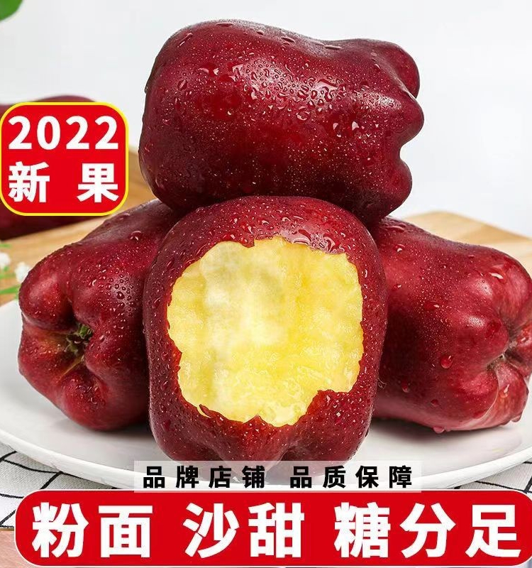 2022年新鲜农家花花牛苹果正宗甘肃天水特级蛇红果粉水果10