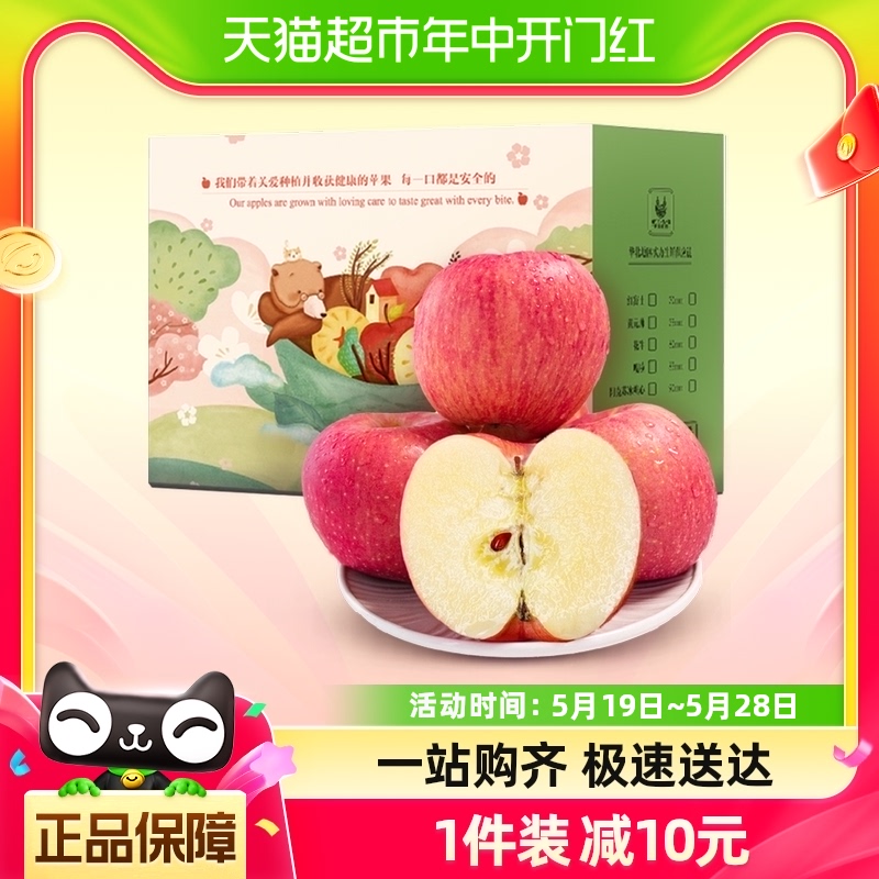 正宗甘肃庆阳新鲜水果红富士苹果单果70mm+脆甜多汁
