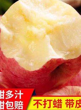 甘肃天水红富士苹果当季新鲜水果清脆香甜整箱装产地直发破损包赔