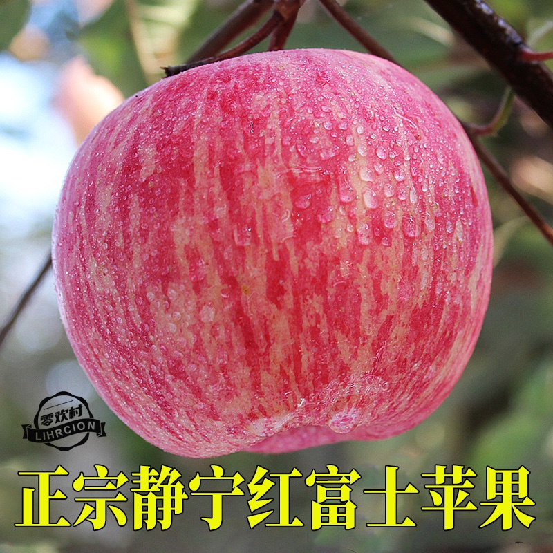 2022年甘肃静宁条纹红富士苹果新鲜现摘水果脆甜薄皮多汁整箱