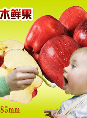 甘肃天水秦安特产花牛苹果当季新鲜水果红蛇粉面刮泥苹果糖心10斤