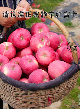 甘肃静宁苹果水果新鲜现摘红富士吃货当季脆甜整箱孕妇2022新苹果
