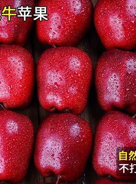 甘肃天水花牛苹果新鲜水果当季整箱包邮10斤红蛇粉面糖心丑平安果