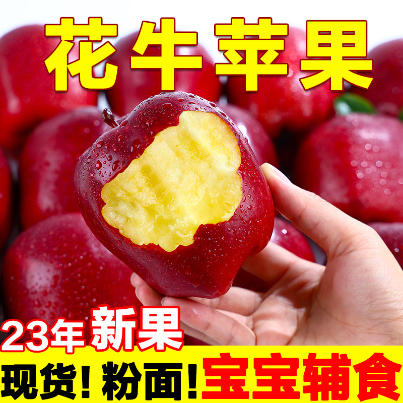 2023甘肃天水花牛苹果新鲜现摘应当季水果5斤整箱包邮甜蛇苹果粉1