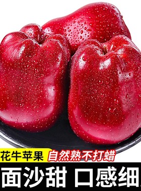 甘肃天水花牛苹果5斤新鲜老人宝宝辅食粉糯水果当季可刮泥红果蛇9
