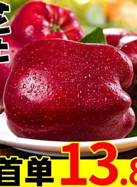 甘肃天水花牛苹果10斤新鲜当季水果整箱红蛇粉面平果脆甜红苹果5