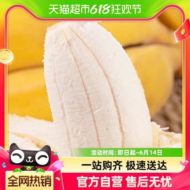 禁止焦虑香蕉苹果蕉现摘现发新鲜自然熟水果香蕉香甜软糯米蕉