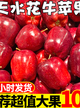 甘肃天水花牛苹果10斤水果新鲜当季整箱包邮红蛇粉面丑果糖心平果