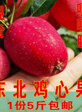 新鲜应季东北鸡心果大秋果沙果海棠果龙丰果吉林苹果水果5斤包邮