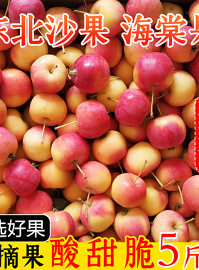 海棠果 东北沙果特产K9果酸甜小苹果孕妇新鲜当季水果5斤包邮整箱