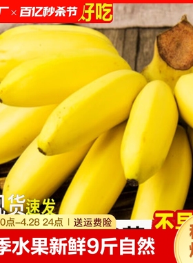 广西小米蕉当季水果新鲜9斤自然熟整箱苹果香蕉芭蕉包邮