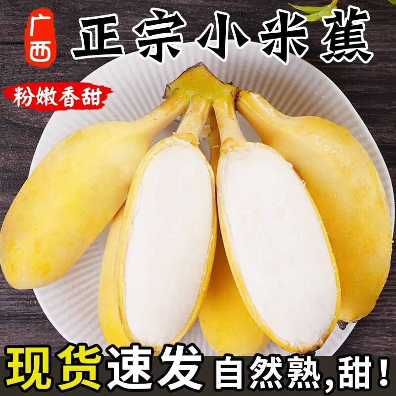 广西香蕉小米蕉现发新鲜采摘热带水果小芭蕉软糯香甜小粉蕉苹果蕉