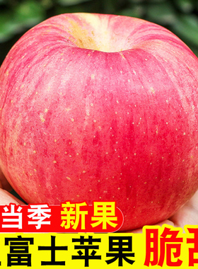 苹果水果红富士陕西洛川富士脆甜多汁当季新鲜果园直发糖心整箱1