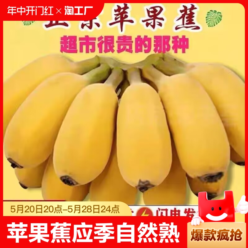 正宗苹果蕉应季自然熟香蕉9斤新鲜整箱粉芭蕉水果现摘软糯香甜