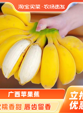 广西苹果蕉时令新鲜现摘小香蕉当季水果