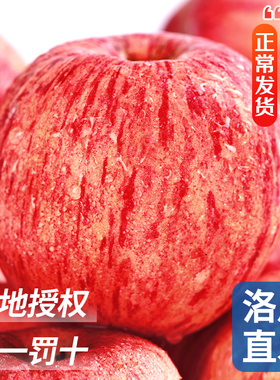 陕西洛川苹果正宗新鲜水果当季红富士冰糖心一级平果10斤整箱包邮
