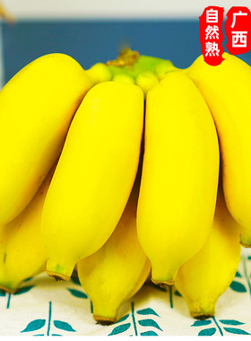 纯香果 广西小米蕉香蕉新鲜水果9斤小香芭蕉苹果蕉自然熟当季整箱