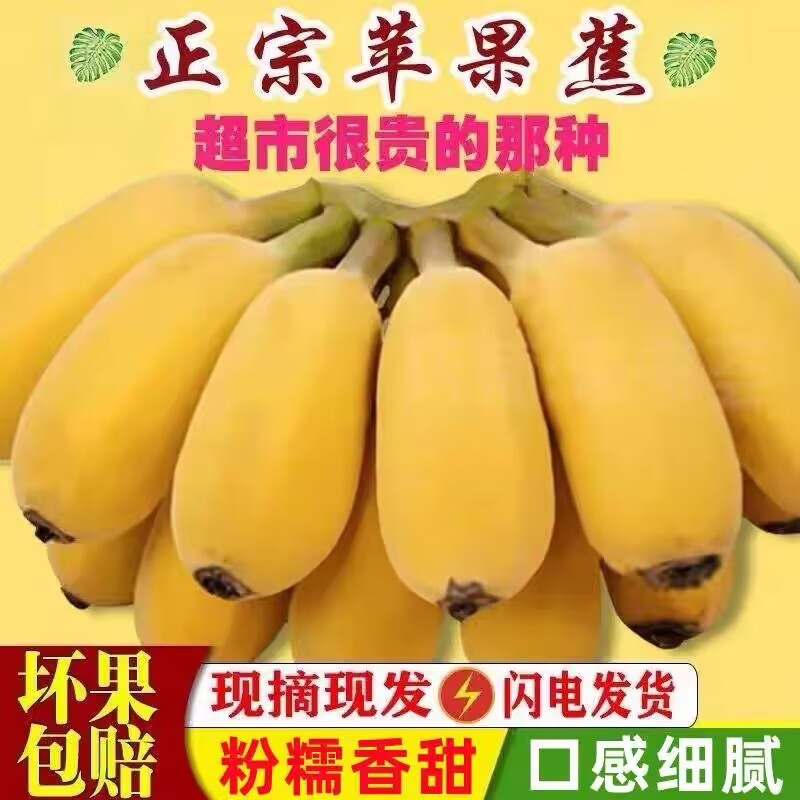 正宗苹果蕉应季自然熟香蕉9斤新鲜整箱粉芭蕉水果现摘软糯香甜