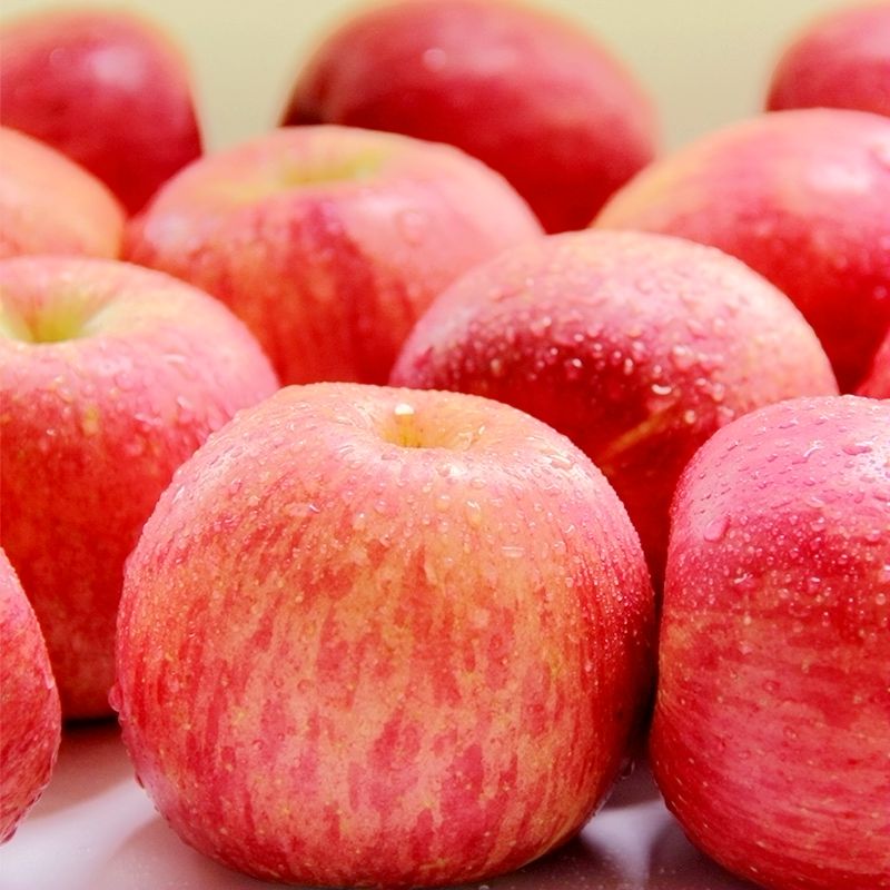 洛川苹果 陕西红富士苹果新鲜水果 20枚75礼盒装整箱顺丰包邮
