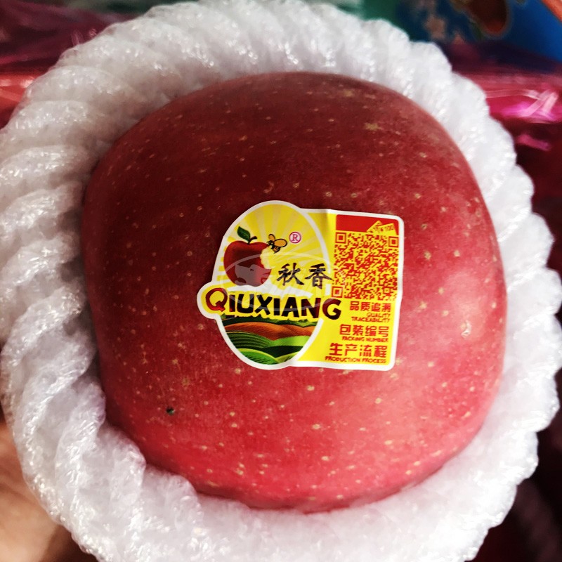 栖霞红富士苹果秋香苹果礼盒净果9斤15个装 时令水果山东大苹果