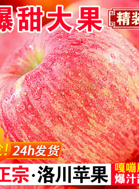 正宗陕西洛川苹果新鲜水果当季现摘整箱礼盒10斤冰糖心红富士苹果