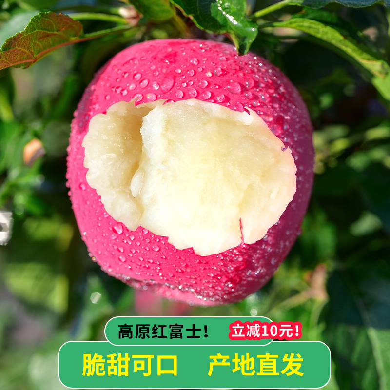 2023甘肃静宁苹果红富士礼盒新鲜水果脆冰糖心萍果整箱甜苹果孕妇