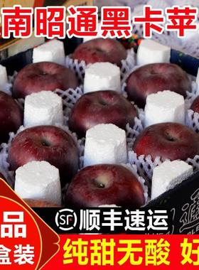 顺丰云南昭通黑卡苹果礼盒装9斤黑钻苹果黑苹果水果新鲜整箱当季