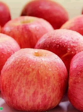 烟台红富士脆甜富士苹果新鲜水果礼盒