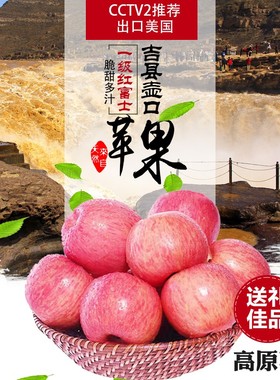 顺丰包邮当季水果新鲜采摘山西吉县壶口红富士高原苹果脆甜礼盒