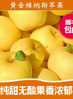 【顺丰】黄金维纳斯苹果礼盒装新鲜纯甜无酸果香四溢4斤礼盒装
