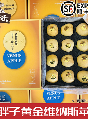 黄胖子维纳斯黄金苹果冬恋苹果甜脆新鲜水果大果礼盒装多省包邮