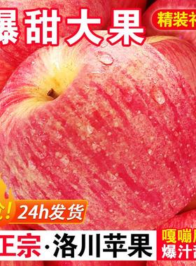 正宗陕西洛川苹果10斤新鲜水果红富士当季整箱礼盒冰糖心脆甜苹果