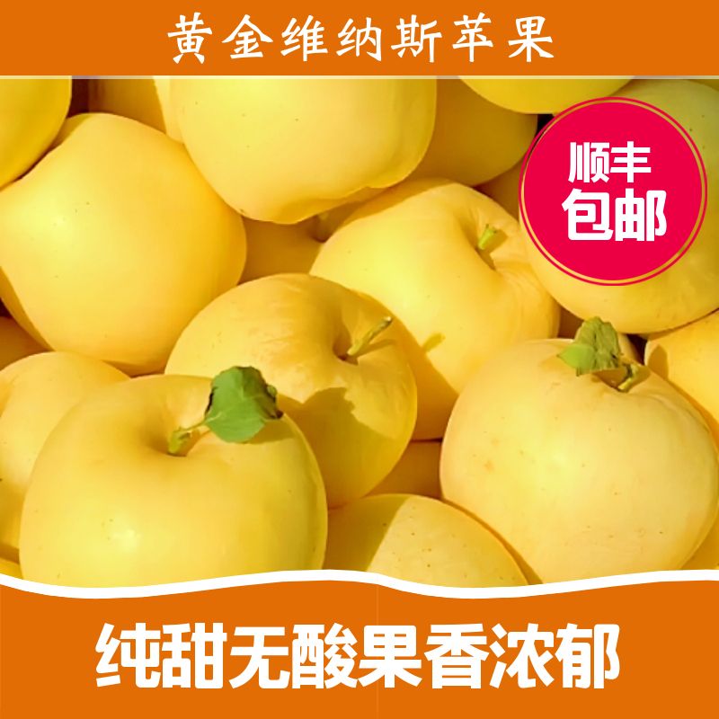 【顺丰】黄金维纳斯苹果礼盒装新鲜纯甜无酸果香四溢4斤礼盒装