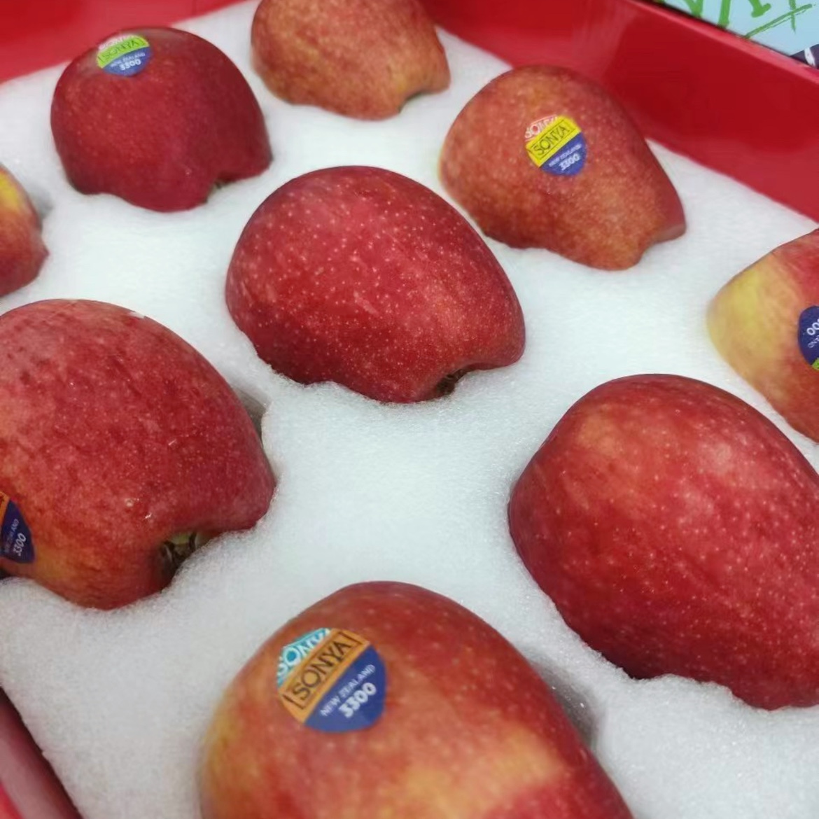新西兰索尼娅苹果 当季新鲜进口水果高端苹果送礼盒装顺丰空运