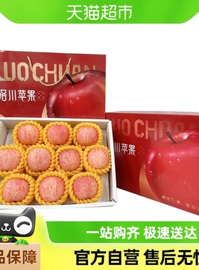 洛川红富士苹果精品礼盒新鲜应季水果整箱顺丰包邮