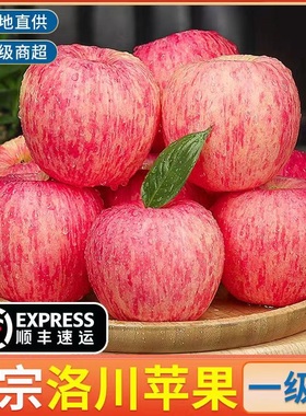 陕西洛川红富士苹果新鲜当季脆甜冰糖心水果整箱条纹富士一级大果
