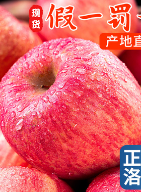 脆甜大果水果洛川当季心整箱苹果红富士一级新鲜陕西10冰糖正宗