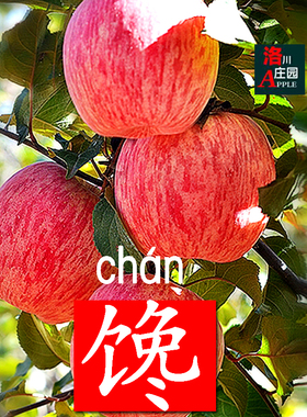正宗陕西洛川苹果新鲜水果应当季整箱红富士大果一级3/5/10斤包邮