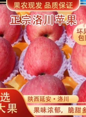 高端大果正宗陕西洛川苹果24颗85苹果新鲜水果红富士苹果产地直发