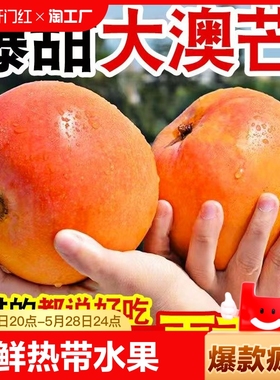 【精选】苹果芒澳芒热带新鲜水果芒果应当季凯特芒甜心芒大果整箱