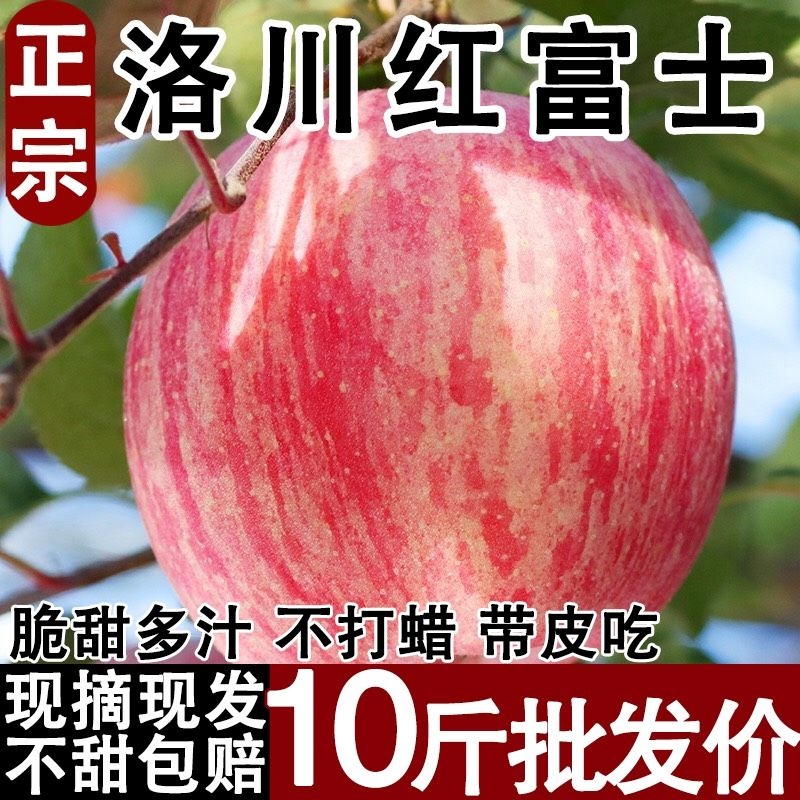 正宗洛川红富士苹果冰糖心脆甜新鲜水果大果现摘现发整箱10斤一级