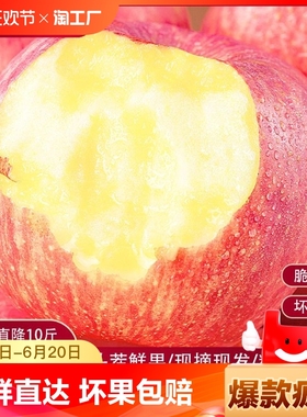 洛川苹果新鲜水果批发冰糖心红富士丑苹果5斤/9斤脆甜大果