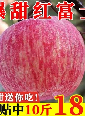 爆款陕西红富士苹果当季新鲜冰糖心脆甜丑苹果水果批发大果不打蜡