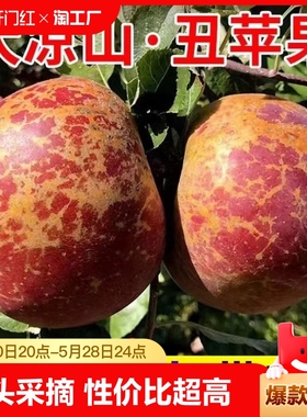 正宗四川大凉山冰糖心丑苹果新鲜红富士苹果水果脆甜当季特价大果