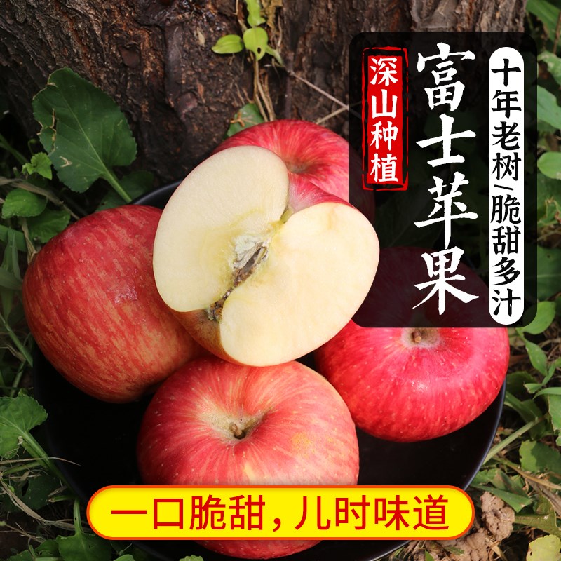 红富士苹果 新鲜大果一口脆甜山区老树 当季新鲜水果4斤密农人家
