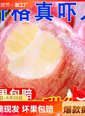正宗山东红富士苹果新鲜水果当季整箱萍果脆甜10丑平果直发大果