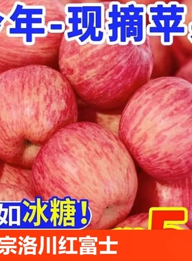 陕西洛川苹果9斤新鲜水果红富士当季整箱冰糖心脆甜苹果大果一级