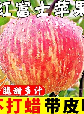山东烟台红富士苹果新鲜水果脆甜多汁产地批发包邮多规格可选大果